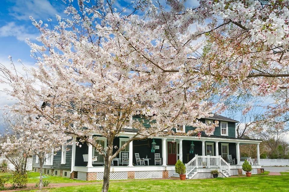 Inner Banks Inn Edenton Exterior photo